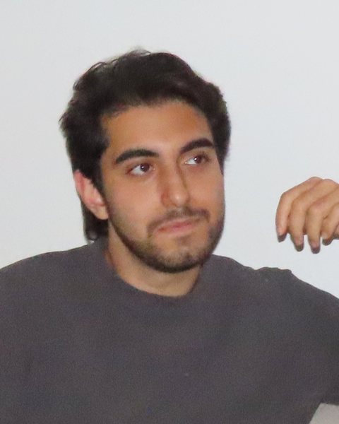 Portrait of Roham Zendehdel Nobari